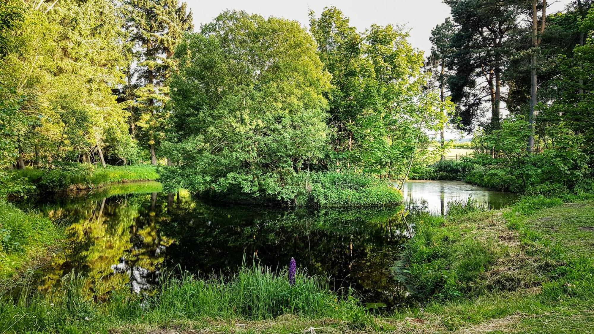 Marcassie Farm Lodges - Blackthorn Studio Forres Zewnętrze zdjęcie