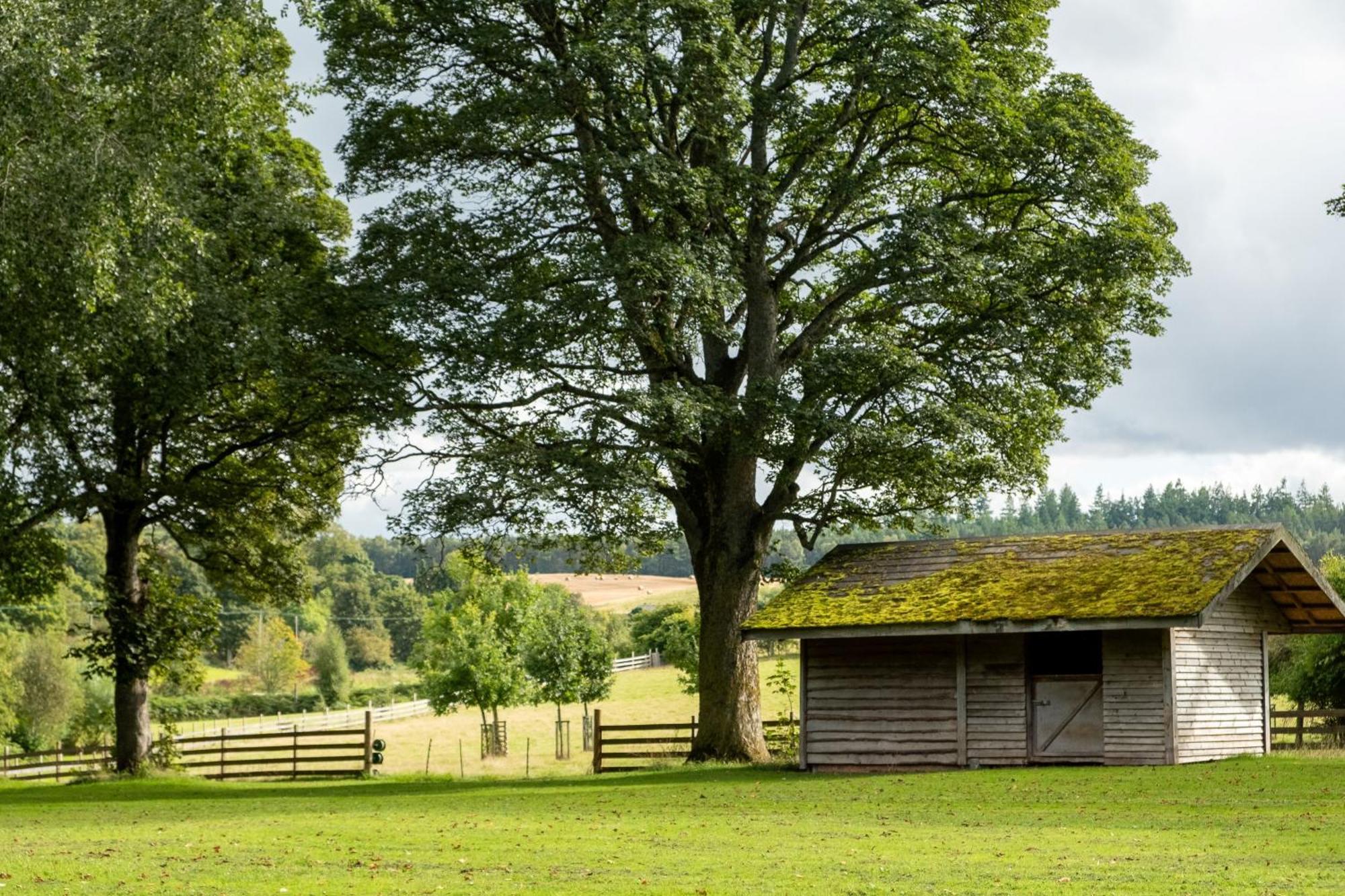 Marcassie Farm Lodges - Blackthorn Studio Forres Zewnętrze zdjęcie