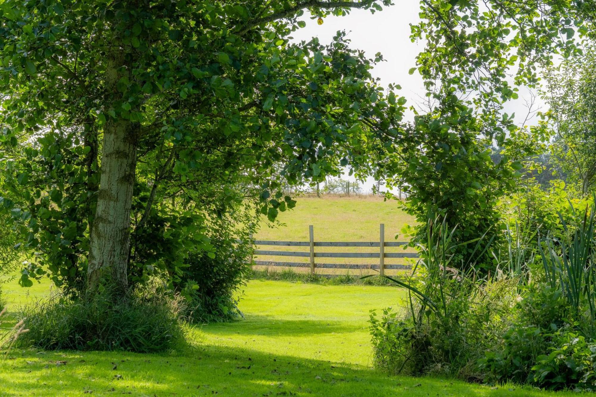 Marcassie Farm Lodges - Blackthorn Studio Forres Zewnętrze zdjęcie